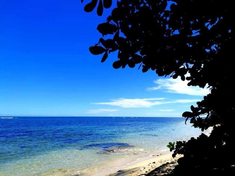 Manta Ray'S Cahuita Apart. Appartement Buitenkant foto