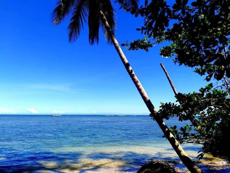 Manta Ray'S Cahuita Apart. Appartement Buitenkant foto